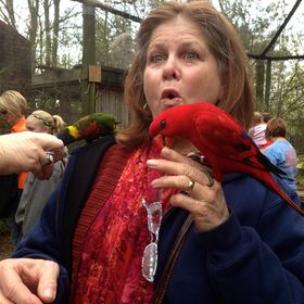 Profile Picture of Debbie Foster (@debief) on Pinterest