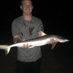 Profile Picture of Matt Laroche (@larochmp) on Instagram