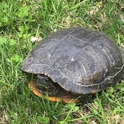 Profile Picture of David Lutchka (@david_lutchka) on Twitter