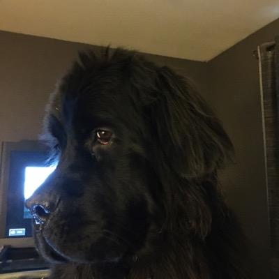 Terry L Howarth - Twitter Profile Picture of Terry L Howarth (@TerryHowarth1) on Twitter