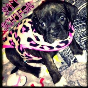 Profile Picture of Tierra Ferrell (@tierraferrell) on Tiktok