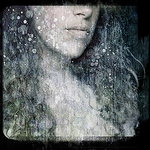 Profile Picture of Bianca Van Der Werf (@biancavanderwerf) on Flickr