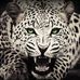 Profile Picture of Joseph Swathi (@joseph.swathi) on Facebook
