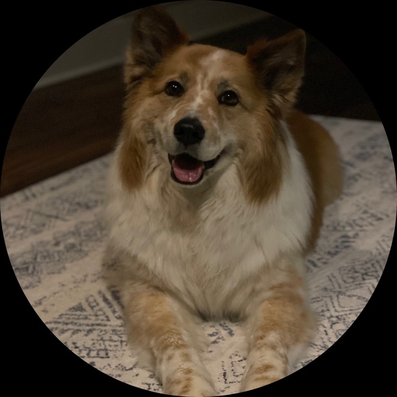 Profile Picture of Annemarie Nemo (@nemoa) on Poshmark