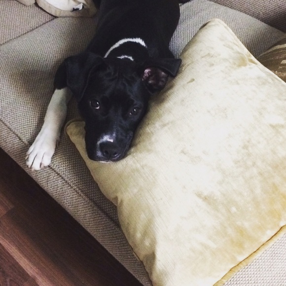 Amanda Rudolph - Poshmark Profile Picture of Amanda Rudolph (@rudy23) on Poshmark