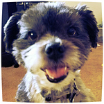 Profile Picture of Diane Nguyen (@diane.nguyen@ymail.com) on Flickr