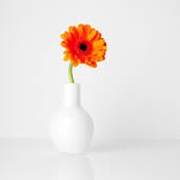 Profile Picture of Alex Haven (@alex-haven-3) on Quora