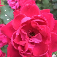 Profile Picture of Jiejie  (@jiejie-5) on Quora