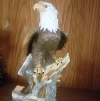 Greg Bartsch - Facebook Profile Picture of Greg Bartsch (@greg.bartsch.75) on Facebook