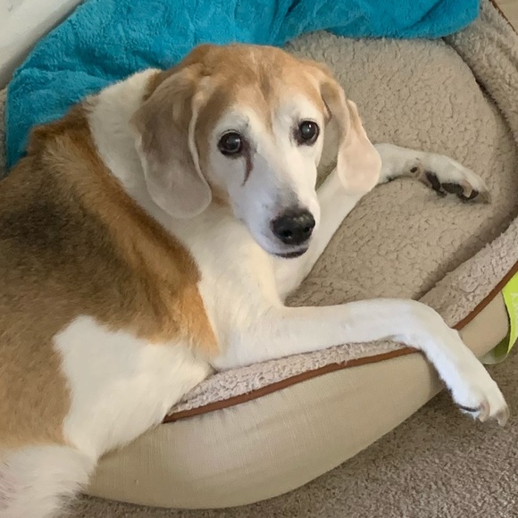 Isabell Orosz - Poshmark Profile Picture of Isabell Orosz (@isabellorosz) on Poshmark