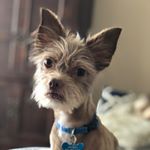 Profile Picture of Jeffrey Wagner (@jeffreywagger) on Instagram