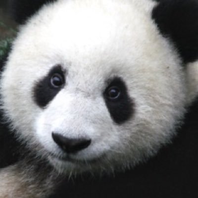 Profile Picture of Julia Alfano (@JuliaAlfano123) on Twitter