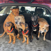 Profile Picture of Sylvia Zaeder (@sylviazaeder5063) on Youtube