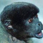 Profile Picture of Dimitris Glitsos (@dglitsos) on Instagram