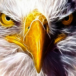 Profile Picture of George Archuleta (@OCONNOR BOYS SOCCER) on Flickr