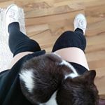 stefan - Instagram Profile Picture of stefan (@stevens_longsocks) on Instagram