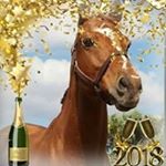 Profile Picture of Mark Savastano (@marksavastano) on Instagram