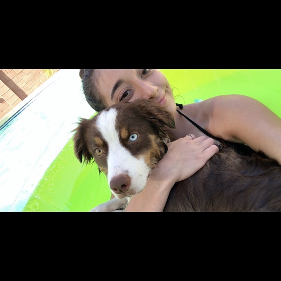 Profile Picture of Lauren Carreras (@laurencarreras) on Poshmark