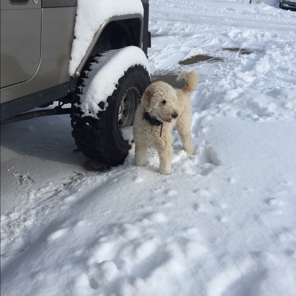 Profile Picture of Janet Bonney (@jbonney75) on Poshmark