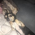 Profile Picture of Marcus (@guesswhos2) on Instagram