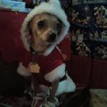 Profile Picture of Anne Carpenter (@annecarpenter02) on Instagram