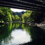 Profile Picture of Richard Vessells (@sirrichard3rd420) on Instagram