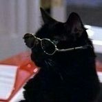 Profile Picture of Robin Quesada (@Robin-Quesada) on Facebook