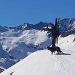 Alvaro Paniagua - Instagram Profile Picture of Alvaro Paniagua (@queick) on Instagram