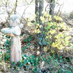 Profile Picture of John Broome Jr. (@broomejr.john) on Instagram