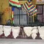 Profile Picture of humberto paez (@paez_humberto) on Instagram