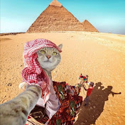 Profile Picture of Hamza Alakozai (@hamzaalakozai1313) on Youtube