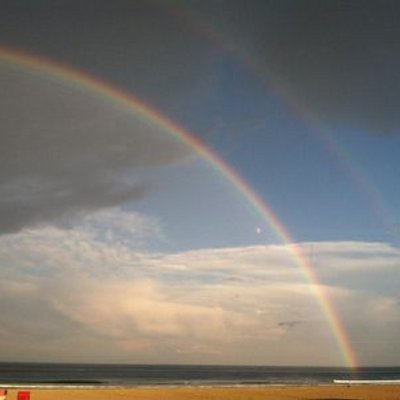 Profile Picture of Michelle Ledoux (@LedouxMichelle) on Twitter