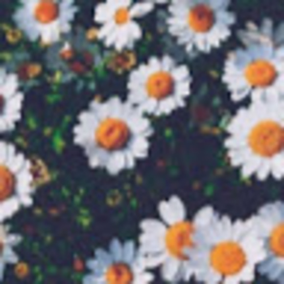 Profile Picture of Elena Pierce (@elenap031) on Poshmark