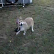 Profile Picture of Nancy Walker (@restingrabbit) on Youtube