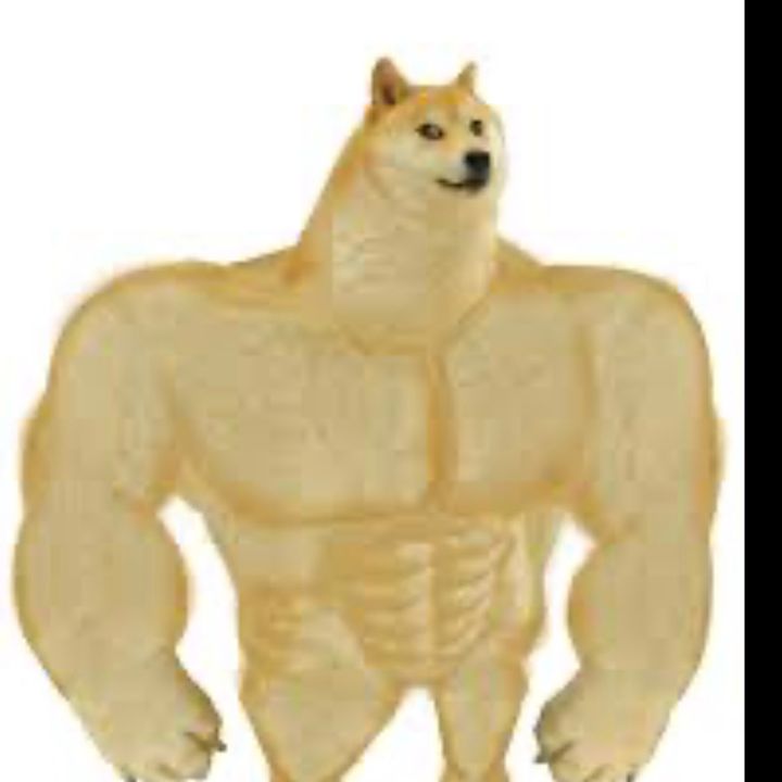 Profile Picture of Eric Holt (@ericholt1) on Tiktok