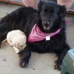 Profile Picture of Ann Stevenson (@annstvnsn) on Instagram