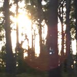 Profile Picture of Libby Winter (@libbymwinter) on Instagram