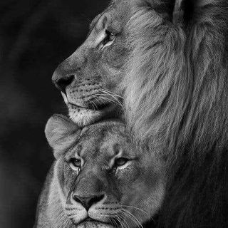 Profile Picture of Harry Hannemann (@harry.hannemann) on Facebook