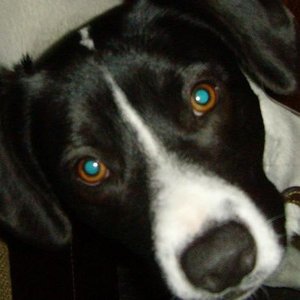 Profile Picture of Bob Mcconkey (@bobymcconkey) on Myspace