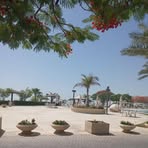 Shane Miller - Facebook Profile Picture of Shane Miller (@Shane-Miller) on Facebook