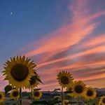 Profile Picture of Marsha Rehulina Sebayang (@marshasebayang) on Instagram