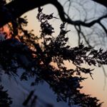 Profile Picture of Rachael Wise (@rew_photos) on Instagram