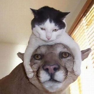 Profile Picture of Hugo Conti (@hugo.conti.16) on Facebook