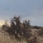 Profile Picture of Craig Whitaker (@craig.whitaker.449041) on Facebook