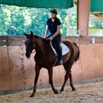 Profile Picture of Nancy Stephenson (@quinnwoodfarm) on Instagram