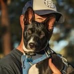 Brad Scanlon - Facebook Profile Picture of Brad Scanlon (@brad.scanlon) on Facebook