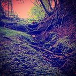 Profile Picture of ...... (@marcelking_1703) on Instagram