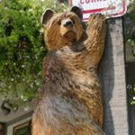 Profile Picture of Eric Baier (@baiereric) on Instagram