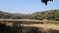 Profile Picture of Pench National Parkon Wikipedia