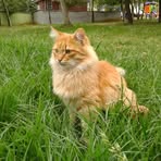 Profile Picture of René Nátan (@René-Nátan) on Facebook